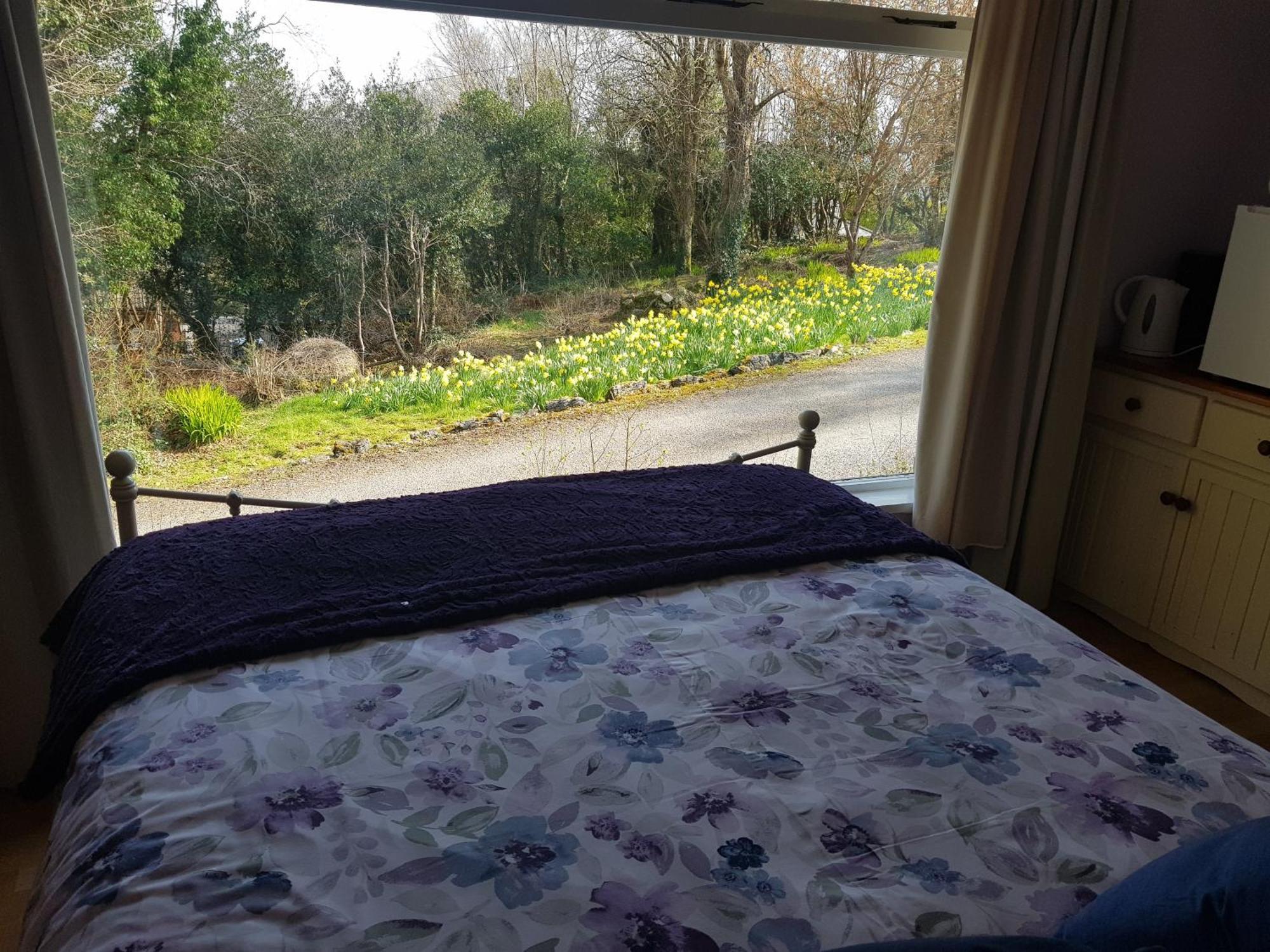 Hollybanks Apartment Moycullen Room photo